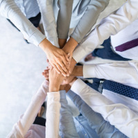 Founder Growth 